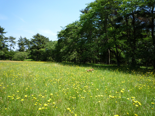 b0045357_13275711.jpg