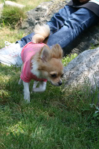 b0137459_22395046.jpg