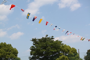 c0153259_0374062.jpg