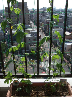 c0192160_17183822.jpg