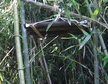 d0170960_20375419.jpg