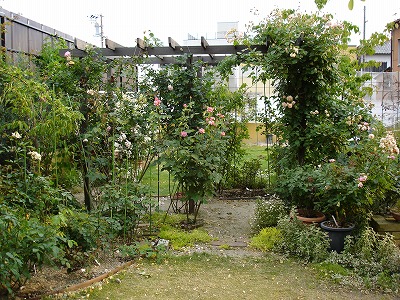 a0104162_1344437.jpg