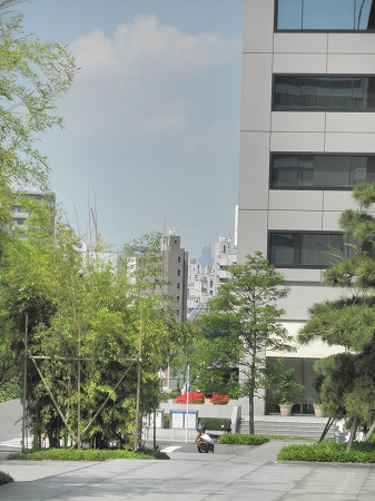 b0145863_1331863.jpg