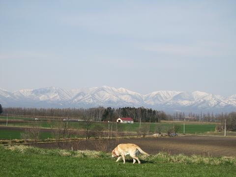 d0120665_14335893.jpg
