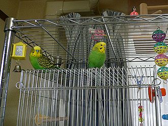 f0196665_23114547.jpg