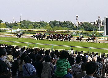 f0196665_2344096.jpg
