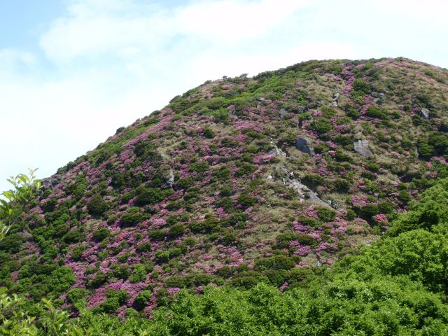 c0042869_1948035.jpg