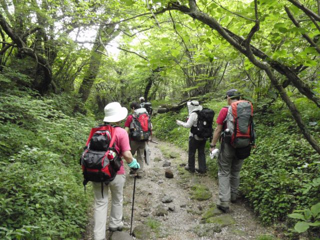 c0042869_2012789.jpg