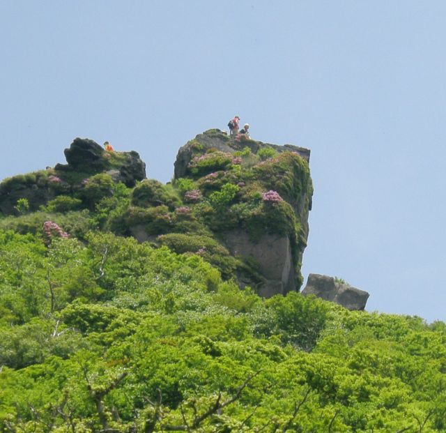 c0042869_2061652.jpg