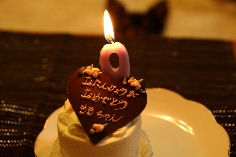 a0016775_01185.jpg