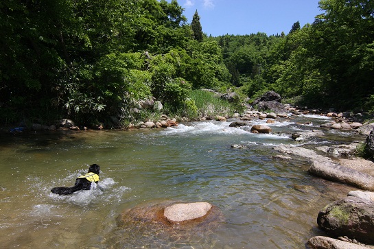 d0152182_202283.jpg