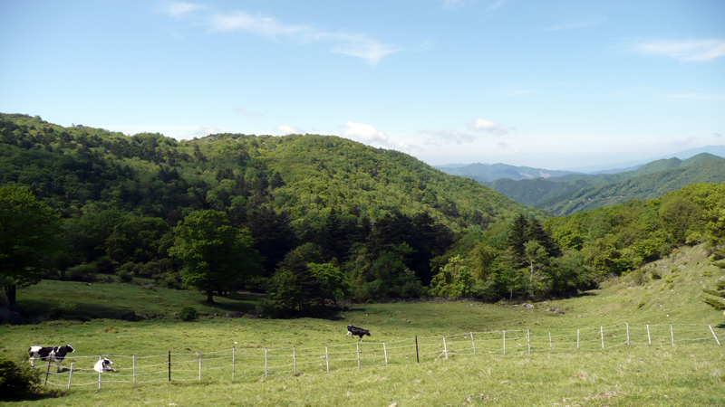 f0131382_2351228.jpg