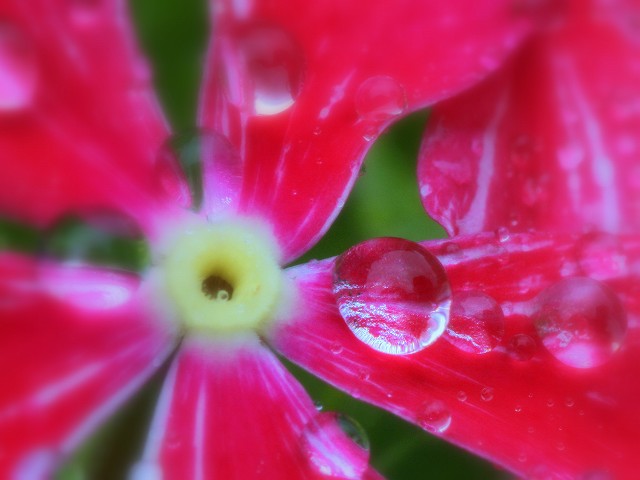 b0115085_10524261.jpg