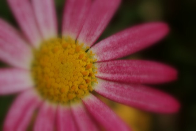 b0115085_10531627.jpg