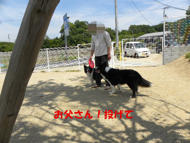 c0120585_18541945.jpg