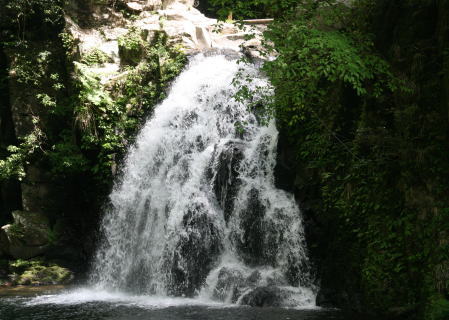 f0085889_12163221.jpg