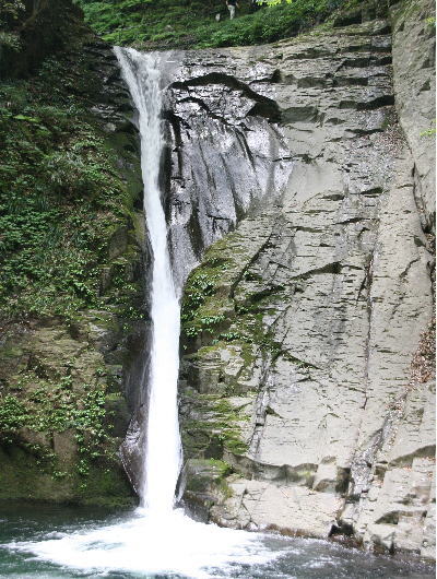 f0085889_1217890.jpg