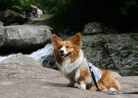 f0085889_12255062.jpg