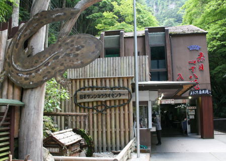 f0085889_1282379.jpg