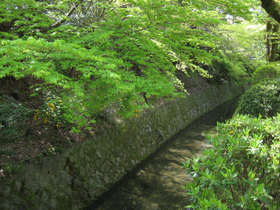 a0063390_13233621.jpg