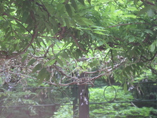 e0126094_1901231.jpg