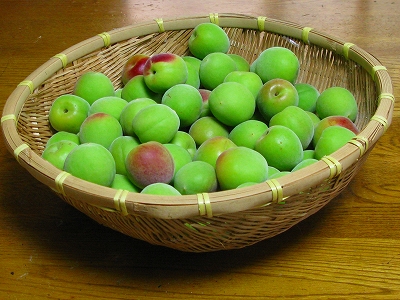 f0181394_1443251.jpg