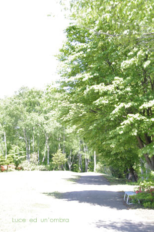 c0207596_17152434.jpg