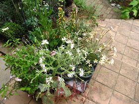 f0178897_19385036.jpg
