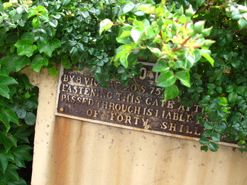 f0178897_19393814.jpg
