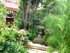 f0178897_19415872.jpg