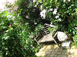 f0178897_200599.jpg