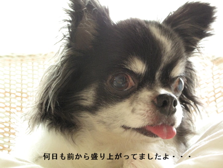 a0079803_019235.jpg