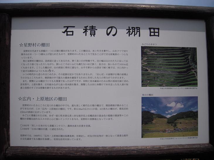 f0061705_17532915.jpg