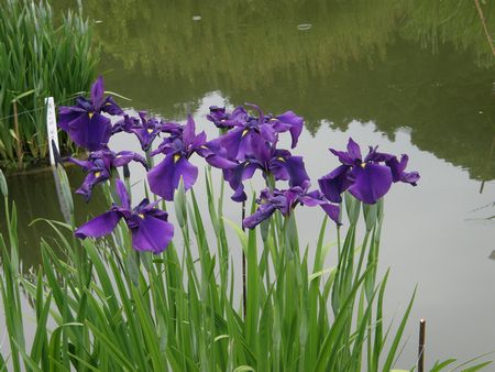 b0061107_22282192.jpg