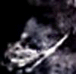 e0103408_13112023.gif