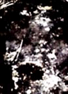 e0103408_13125887.gif