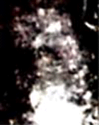 e0103408_13135499.gif