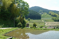 f0221708_17441735.jpg