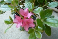 f0221708_17505378.jpg