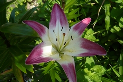 f0221708_175414100.jpg