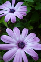 f0221708_17545371.jpg