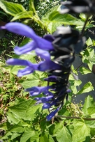 f0221708_17551312.jpg