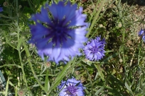 f0221708_17565271.jpg