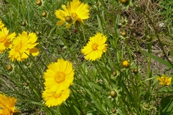 f0221708_17572756.jpg