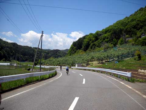 b0000209_5502685.jpg