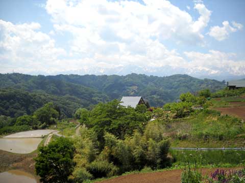 b0000209_5504375.jpg