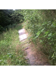 f0009509_15193414.jpg