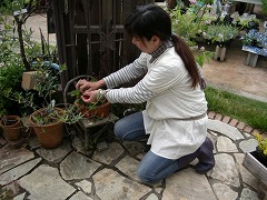 c0190010_2142240.jpg