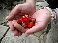 c0190010_215735.jpg
