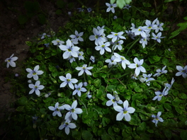 b0035611_22173750.jpg